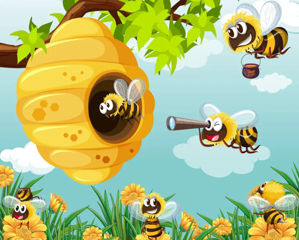 coletivo de abelha
