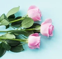 qual é o coletivo de flores