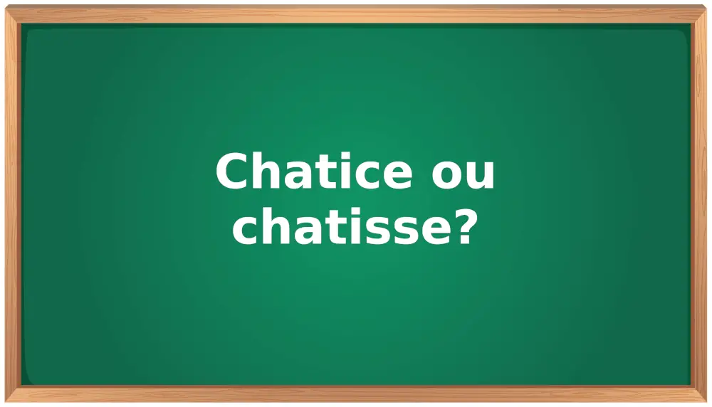 chatice ou chatisse