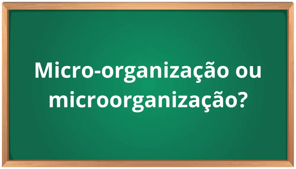 micro-organização ou microorganização